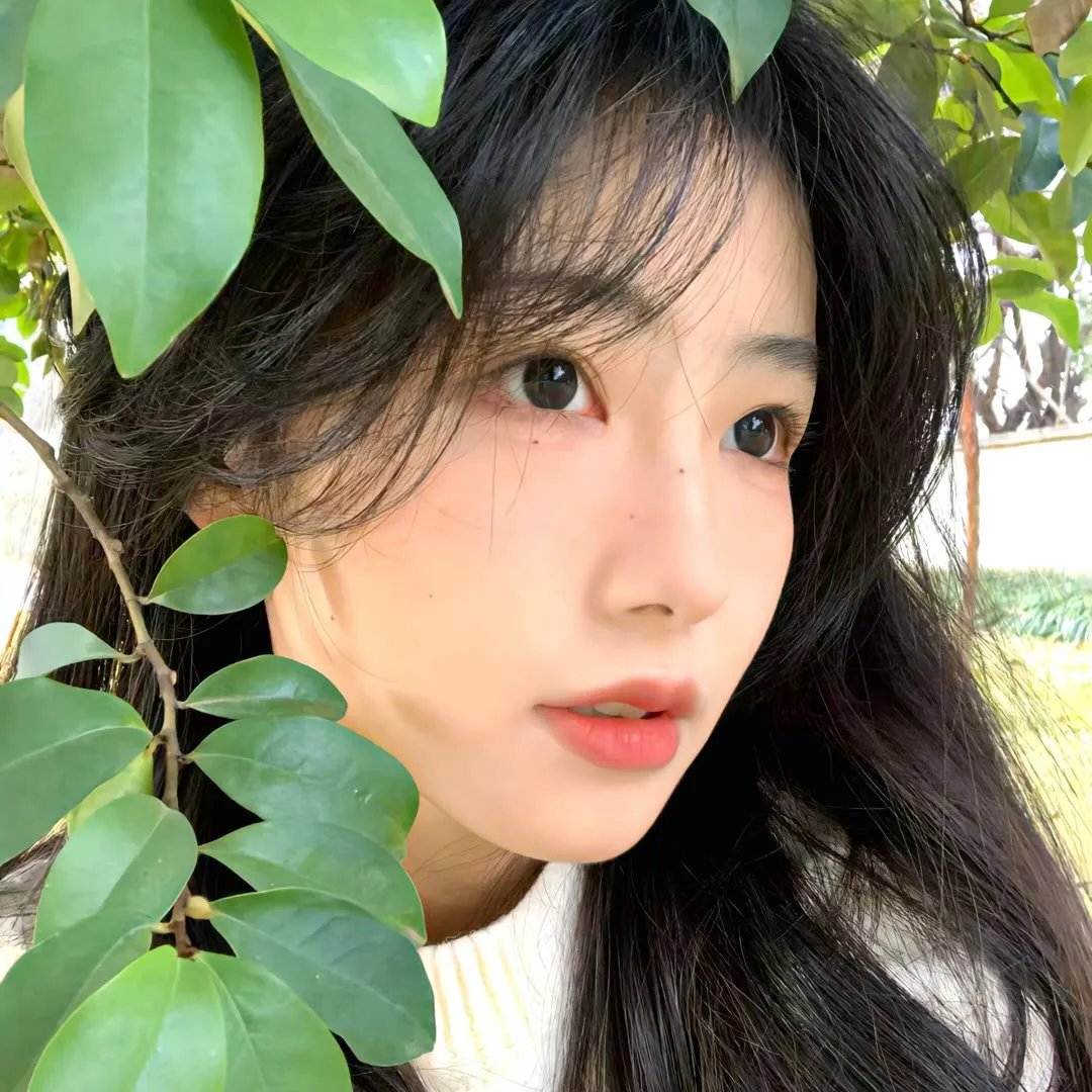 真爱如血第五季