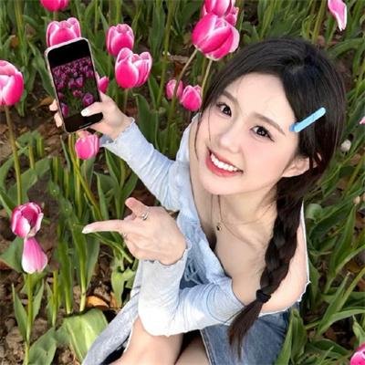 狐狸女士第二季